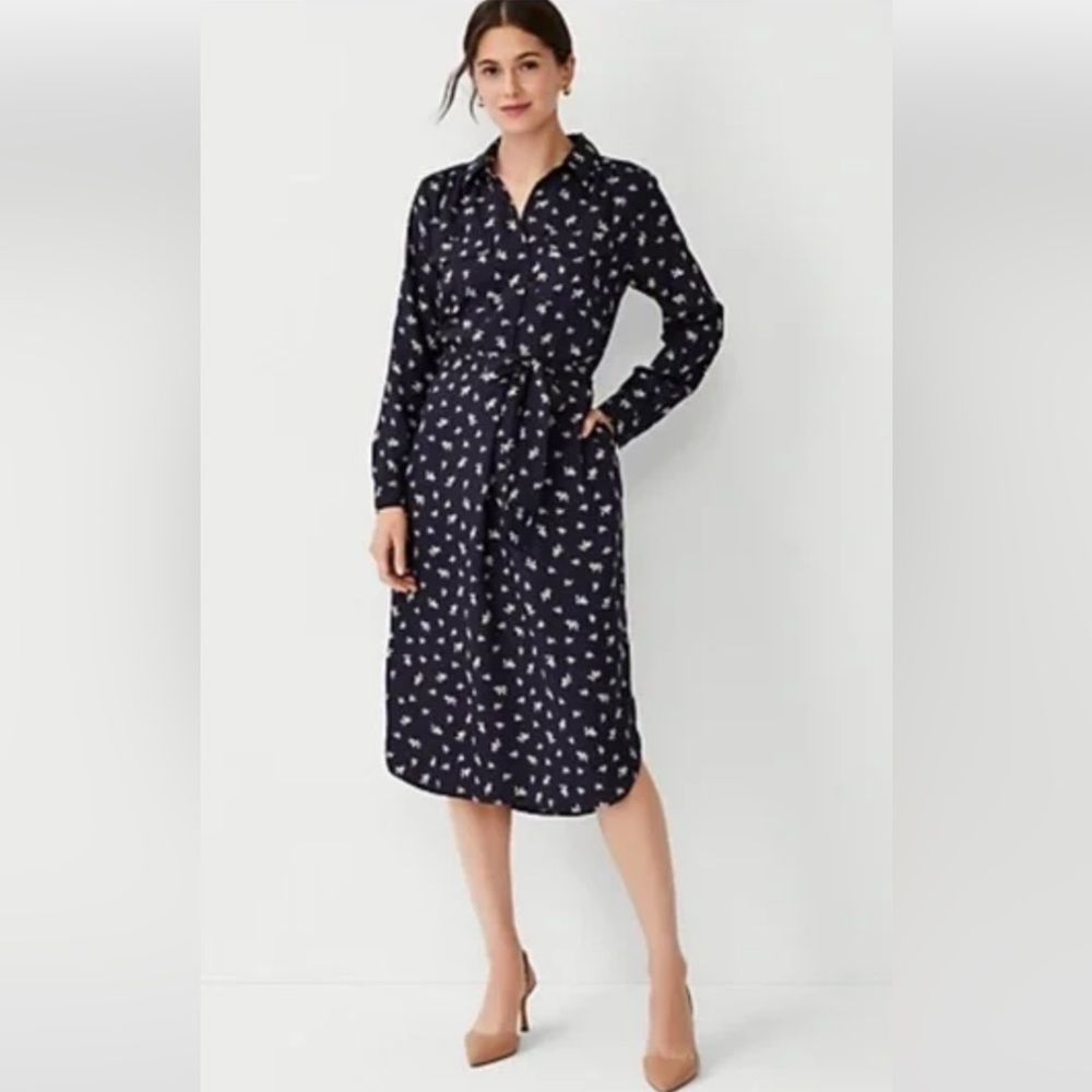 Ann Taylor Blue and White Buttoned A-Line Dress